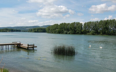 Parcieux bords de Saône