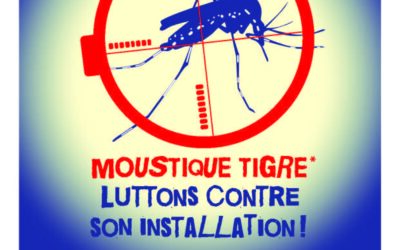 Moustique Tigre